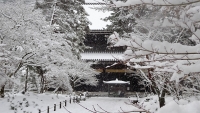 「 南禅寺の雪 」　by 金さん