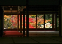 『 秋彩の窓 』　作者名： 池田　隆幸 さん
