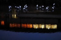 「 川面に灯る 」　by uryusan
