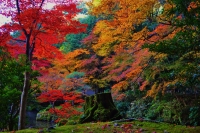 『 悠久の秋景 』　作者名： 西口岳宏 さん