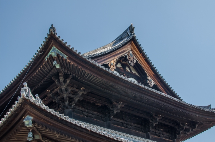 東福寺本堂の屋根を仰ぎ見る