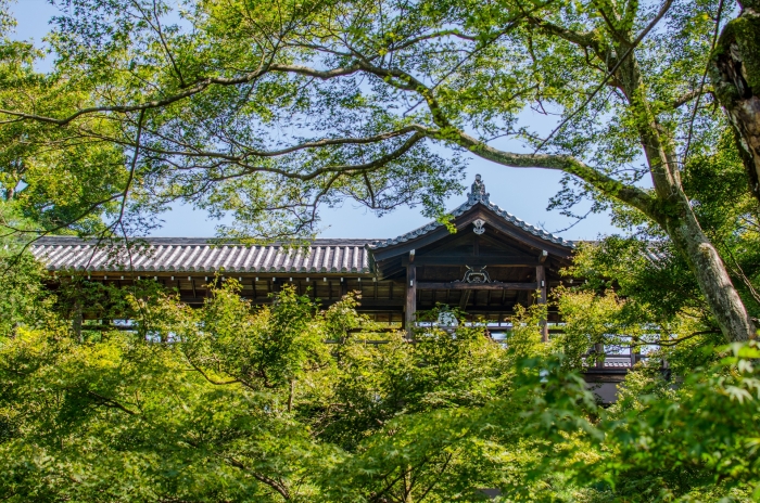 東福寺の洗玉澗から通天橋を見上げる