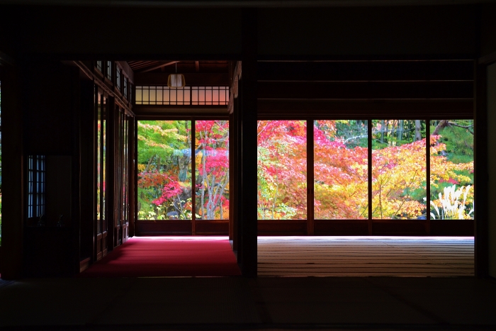 書院を通して見る南庭の紅葉