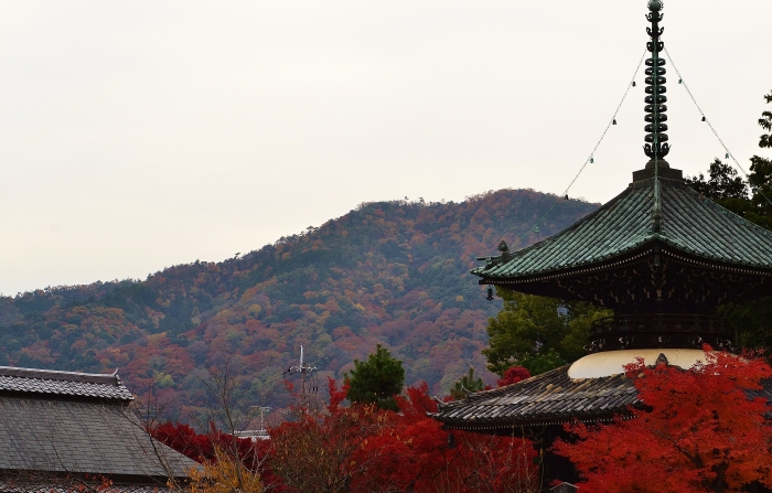 多宝塔の紅葉と嵐山