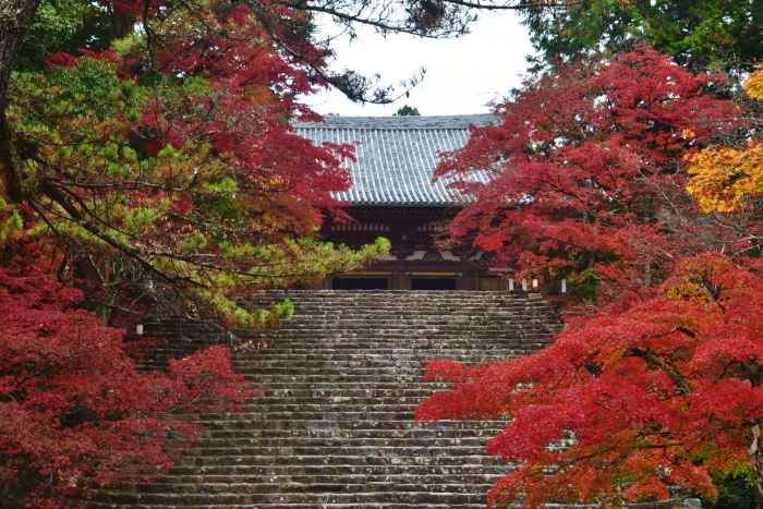 神護寺　石段と紅葉