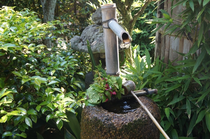 芬陀院　鶴亀の庭　手水鉢