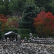 秋の化野念仏寺