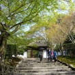 緑が綺麗な安楽寺の山門