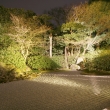 ライトアップされた圓徳院の庭園