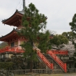 大覚寺　心経宝塔と桜