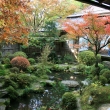 宝泉院　秋の鶴亀庭園