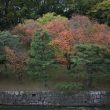 二条城　秋の内堀沿いの木々