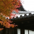東福寺の屋根と紅葉