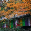 今熊野観音寺大師堂と紅葉