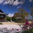 善峯寺の釈迦堂と秋明菊