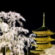 東寺の桜ライトアップ