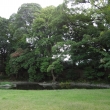 閑院宮邸跡　庭園と木々