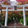 秋の宗忠神社