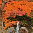 秋の円山公園