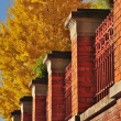 京都国立博物館の煉瓦壁と銀杏の黄葉