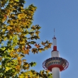 秋の京都タワー
