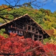 秋の大山崎山荘美術館