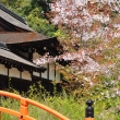 春の下鴨神社