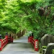 新緑の今熊野観音寺鳥居橋