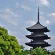新緑の東寺五重塔