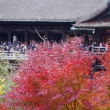 2012清水寺と観光客