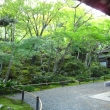 緑が綺麗な常寂光寺本堂裏の庭園