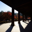 南禅寺の影