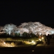 京都植物園ライトアップ