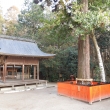 鷺森神社の境内