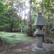 野宮神社苔の庭その3