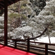 曼殊院門跡　雪の庭園