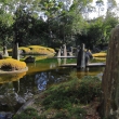 松尾大社蓬莱の庭