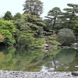 京都御所の御池庭