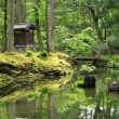 新緑の苔寺庭園の池に映る苔