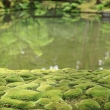 苔寺の苔