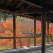 東福寺開山堂への回廊の紅葉