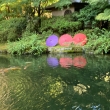 グランドプリンスホテル京都の日本庭園