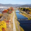 空から見た加茂川の紅葉