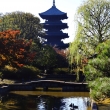 東寺　瓢箪池に写る国宝･五重塔