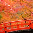 鶯橋の秋