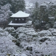 京の雪景　銀花　6-2
