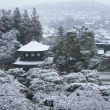 京の雪景　銀花　6-3