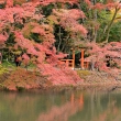 半木神社の秋