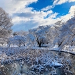 雪の蓮池