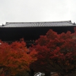 南禅寺　三門の紅葉